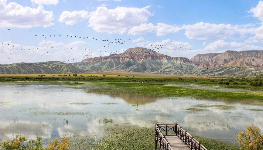 Nallıhan Kuş Cennetine göçmen kuşlar gelmeye başladı