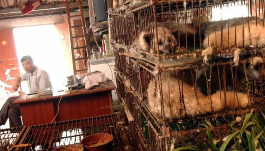 Dikkat çeken rapor yayınlandı: Acil önlem alınmalı