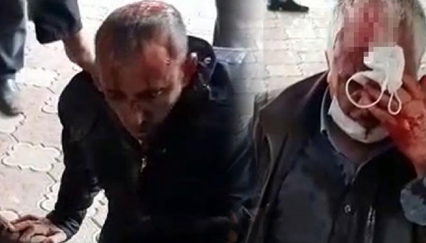 Hayvanlar tarlaya girdi kavgası: Çok sayıda yaralı var...