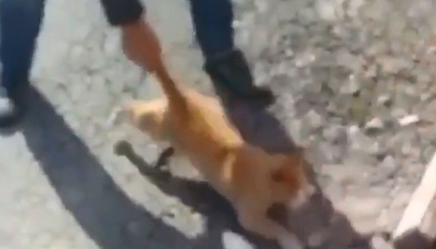 Görüntü büyük tepki çekti Cezası belli oldu