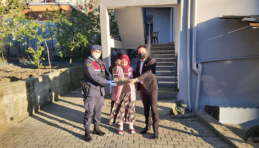 Evden çıkamayan kadının muhabbet kuşu isteği yerine getirildi