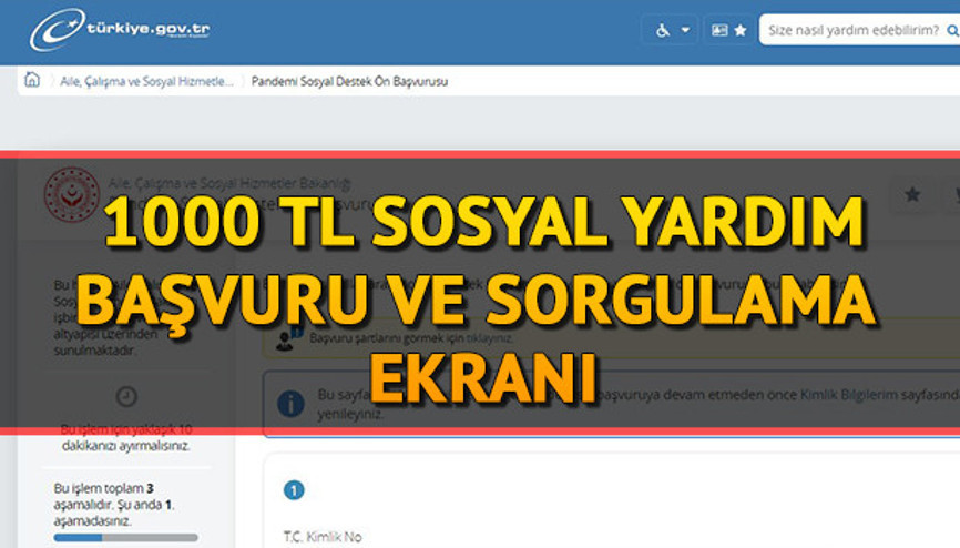 1000 TL yardım başvuru formu E-Devlet ile nasıl doldurulur Sosyal yardım başvurusu sorgulama ekranı