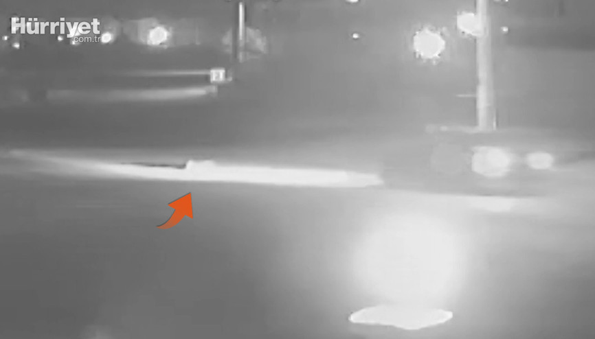 Yolda uyuyan köpeği ezerek öldürdü