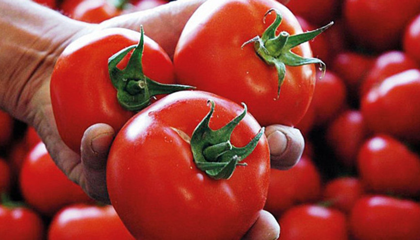 Seç, beğen, al Kadınlar üretiyor, kapınıza kadar geliyor