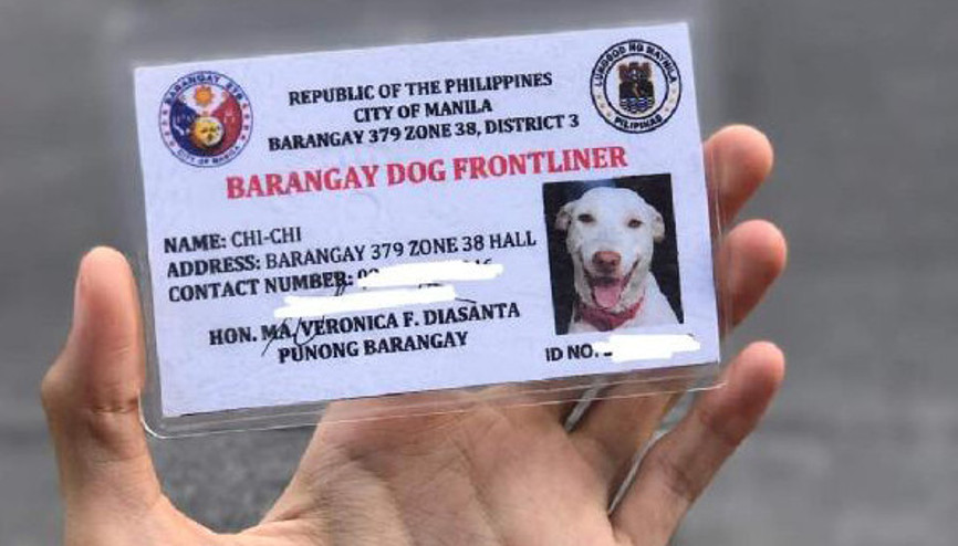 Corona Virüs tedbirleri denetiminde görevli köpeğe kimlik kartı verildi Corona Virüs tedbirleri denetiminde görevli köpeğe kimlik kartı verildi