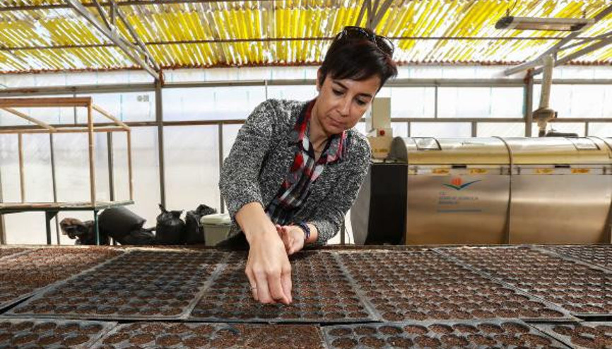 Yenimahallede organik gübre üretimi sürüyor Yenimahallede organik gübre üretimi sürüyor