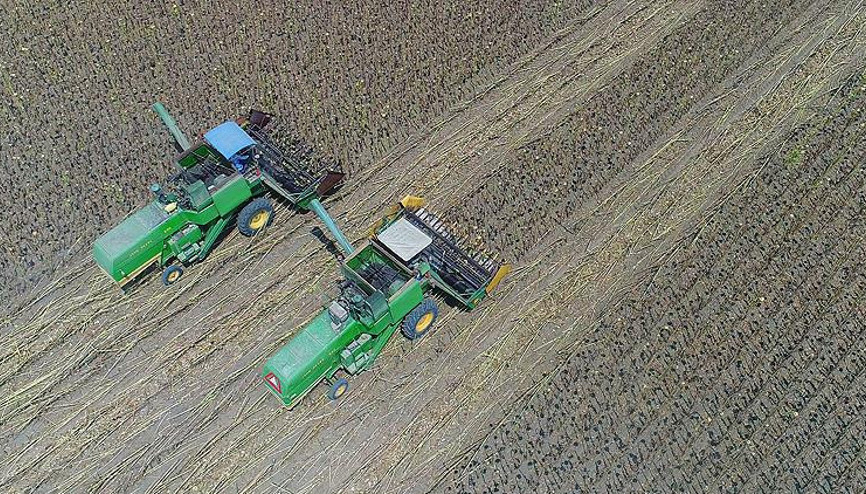 İyi ve organik tarım uygulamalarına mücbir sebep düzenlemesi