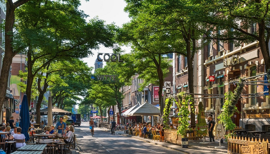 Gelecek için inşa edilen Rotterdam