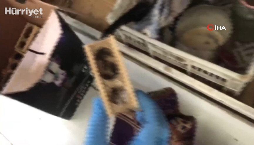 Sarp Gümrük Kapısında, 1500 canlı kraliçe arı ele geçirildi