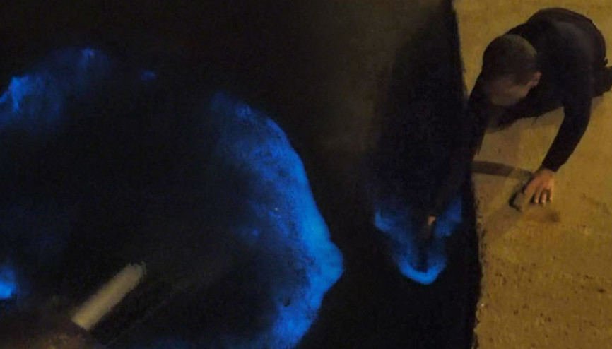 Sahilde mavi ışık heyecanı Bildiğim tüm duaları okudum, koşarak kaçtım