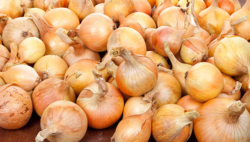 Filizlenmiş patates soğan yenir mi