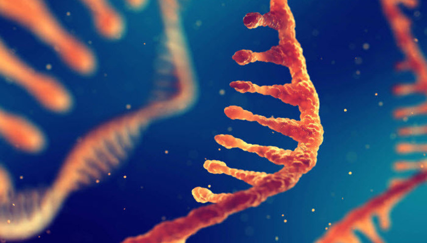 Koronavirüsün mikro RNA’ları incelenecek