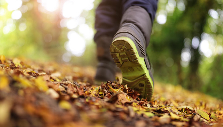 Doğaya Dönüş Masalı - Sisifos