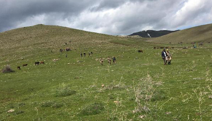 Patnosta hayvan otlatan çobana yıldırım çarptı
