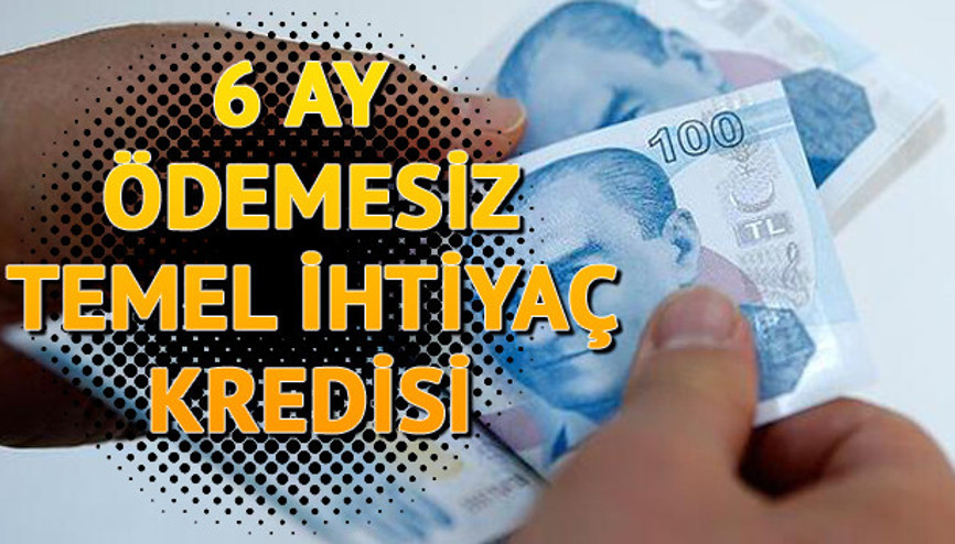 6 ay geri ödemesiz temel ihtiyaç kredisi başvuru ve sonuç sorgulama: Temel ihtiyaç kredisi başvurusu nasıl yapılır
