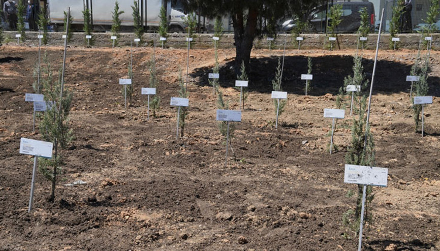 400 sağlıkçı annenin ismi Sahra Hastanesi’nin bahçesinde yeşerecek 400 sağlıkçı annenin ismi Sahra Hastanesi’nin bahçesinde yeşerecek