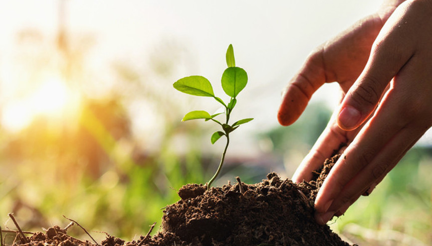 Benim işim acil biraz...