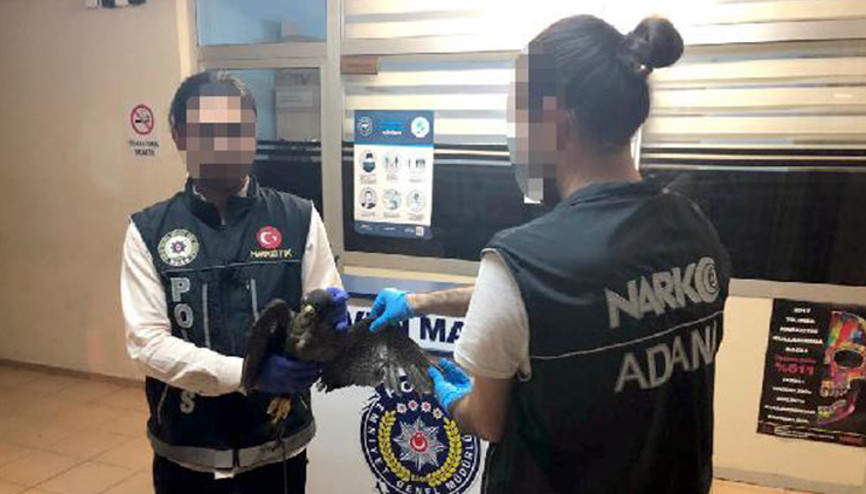 Ölü kuş bulunan otomobildeki 2 kişiye 13 bin lira ceza