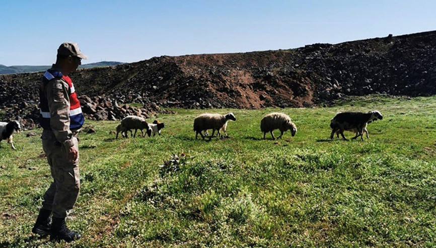 Elazığda kayıp koyunlar 9 saat sonra bulundu