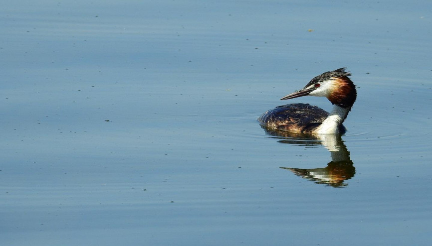 Çamur çıktı Mogan’ın sakinleri geri döndü