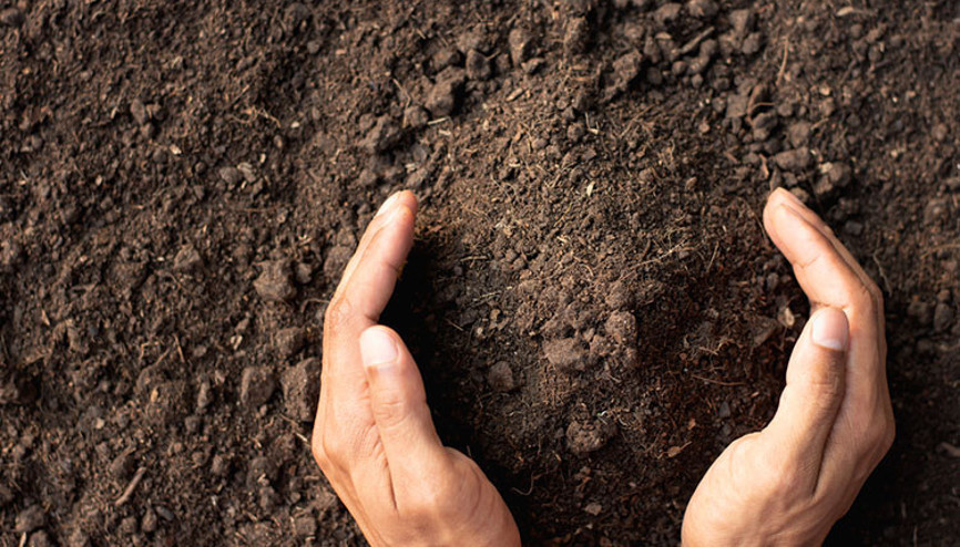 Korkuyorum işte Var mı diyeceğin Korkuyorum işte Var mı diyeceğin