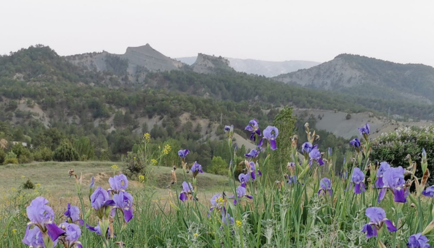 Nevzat Ceylandan Doğanın uyanışı fotoğrafları