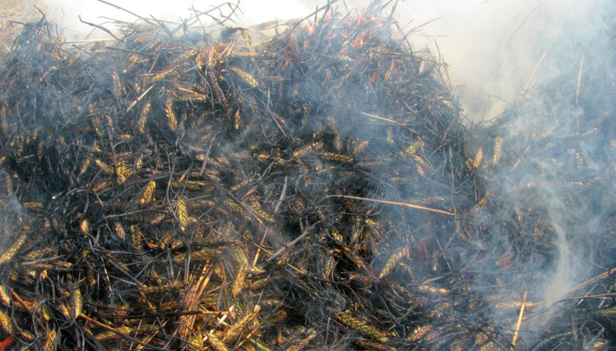 Türkiyede üretiliyor, Ortadoğuda zenginlerin devlet adamlarının sofralarını süslüyor