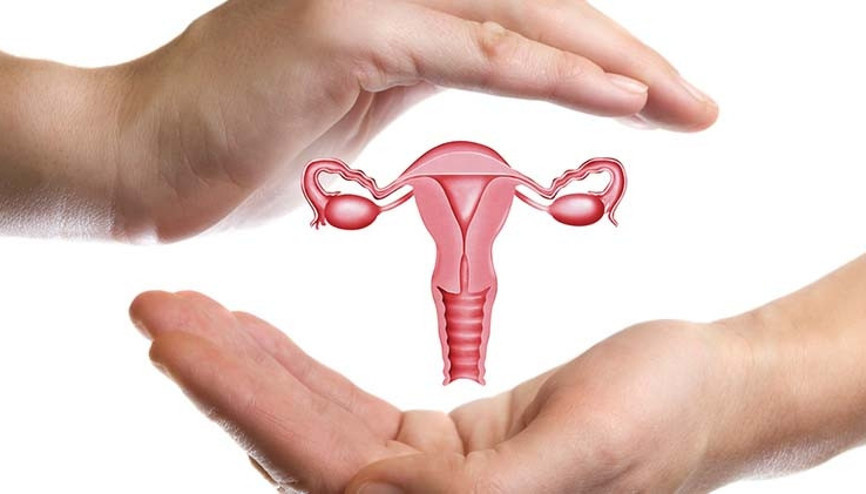 Yumurta Dondurma İşlemi: Nedir Kimlere ve Nasıl Yapılır