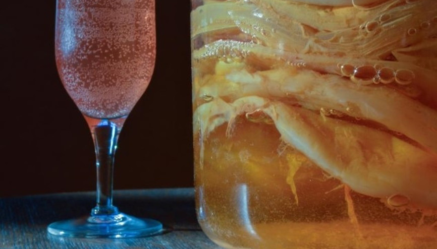 Ev Yapımı Kombucha Tarifi Ev Yapımı Kombucha Tarifi