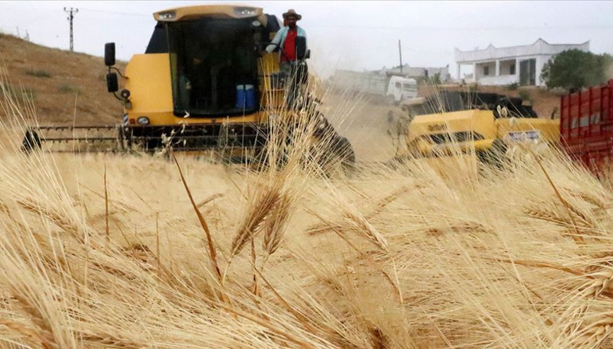 Güneydoğunun tahıl ambarında hasat bereketli başladı