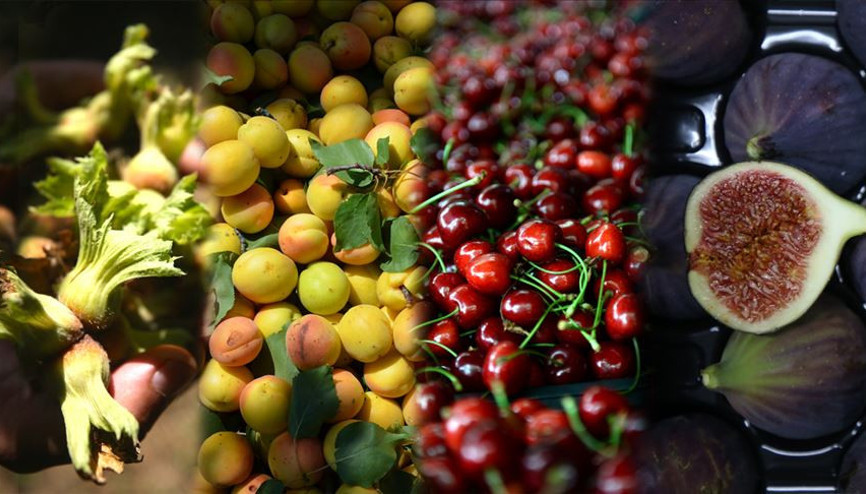 Üreticiler artan meyve talebine yetişemiyor