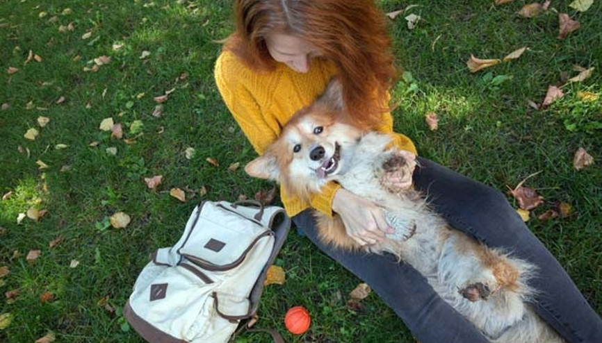 Köpek Sahibi Olmanın Hayatımıza İnanılmaz Etkileri