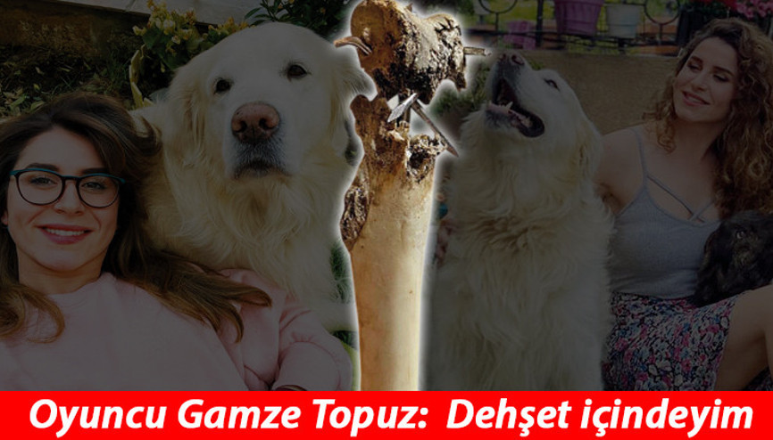 Son dakika haberler: Oyuncu Gamze Topuz: Dehşet içindeyim Yuh olsun bunu yapana...