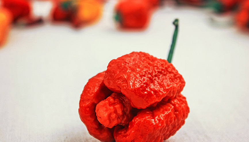 Eldivenle bile dokunmak imkansız çünkü...