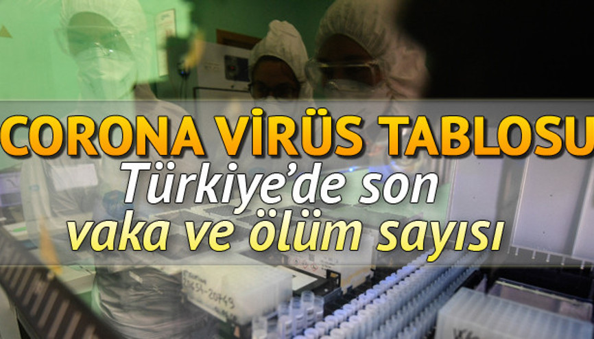 Corona Virüs 14 Haziran son durum:  Dünya ve Türkiye koronavirüs tablosu vaka, ölüm sayıları.. Covid 19 risk haritası