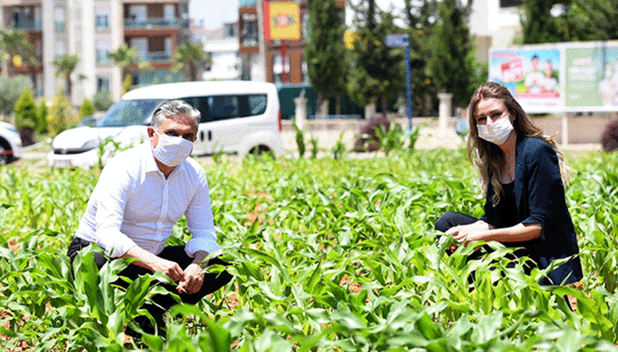 SOSYAL MESAFELİ  NORMALLEŞECEĞİZ