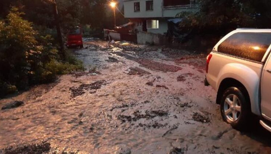 Bartında sağanak taşkınlara neden oldu, sele kapılan 6 büyükbaş öldü