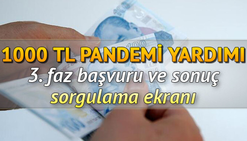Pandemi yardımı ön başvuru sayfası.. 1000 TL sosyal yardım E-Devlet sonuç sorgulama ekranı