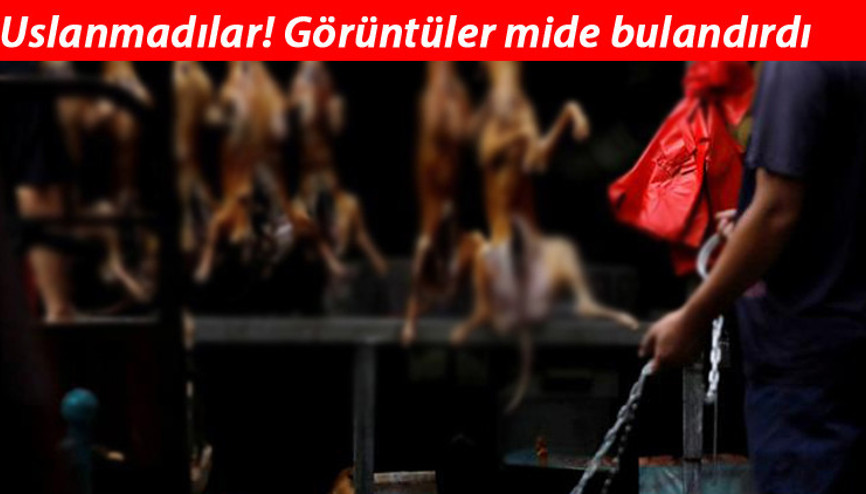 SON DAKİKA HABERİ: Çinden dünyayı çıldırtan karar Görüntüler mide bulandırdı