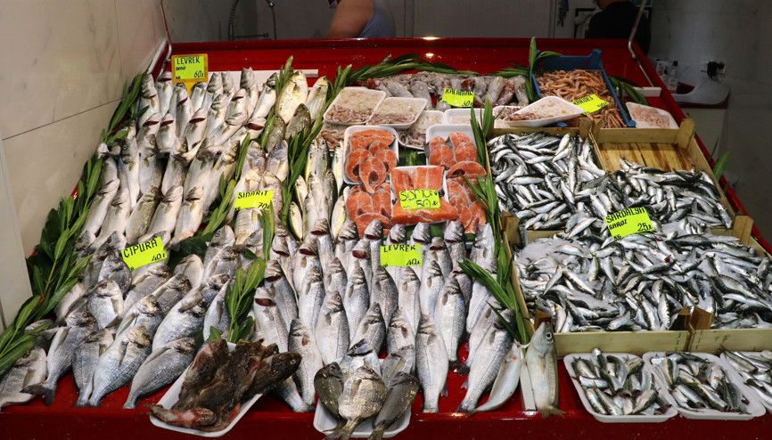 Çanakkalede kalamar bolluğu yaşanıyor Fiyatı 60 TLye düştü