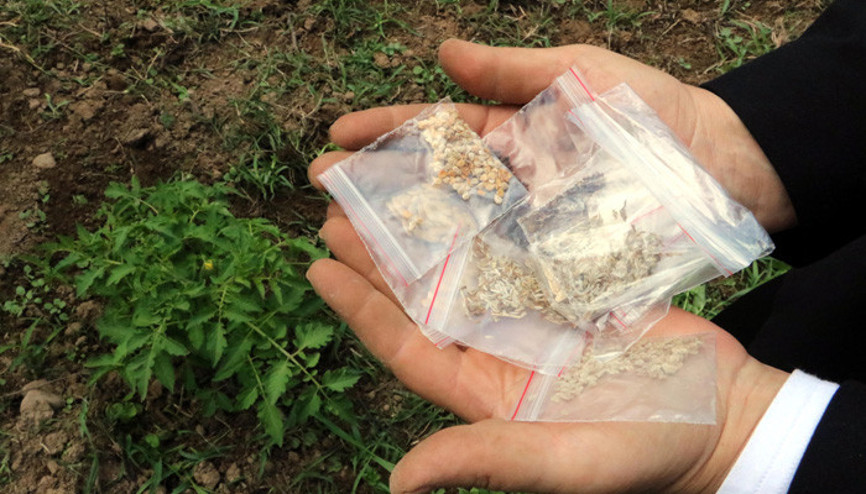 Tavan arasında buldu Talebe yetişemiyor