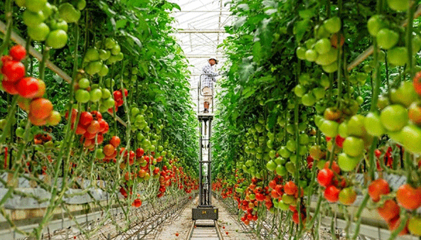 TARIMIN YOL  HARİTASI ÇİZİLECEK