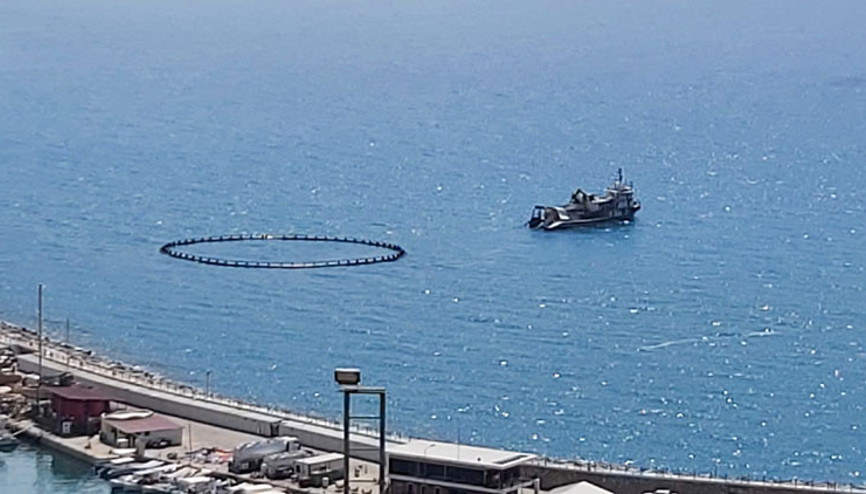 Alanyada orkinos kirliliği iddiası