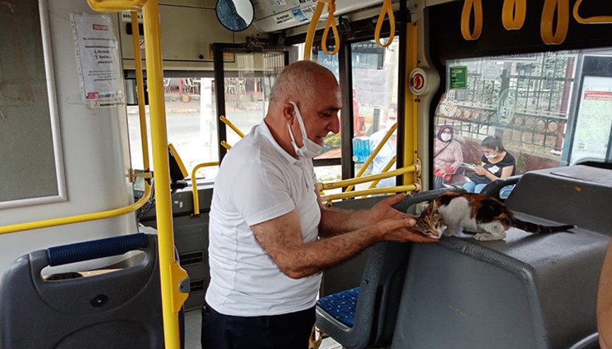 Belediye otobüsünde sıkışan kedi şoförün 10 saat uğraşı sonrasında kurtarıldı