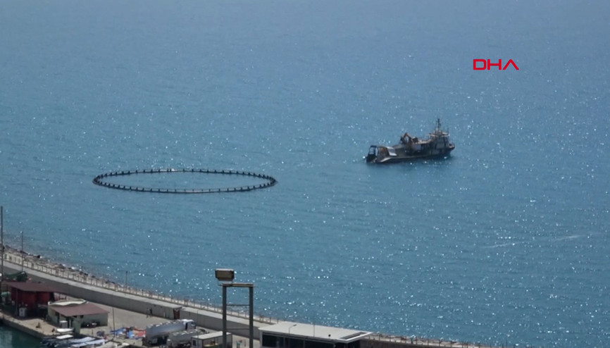 Alanyada orkinos kirliliği iddiası