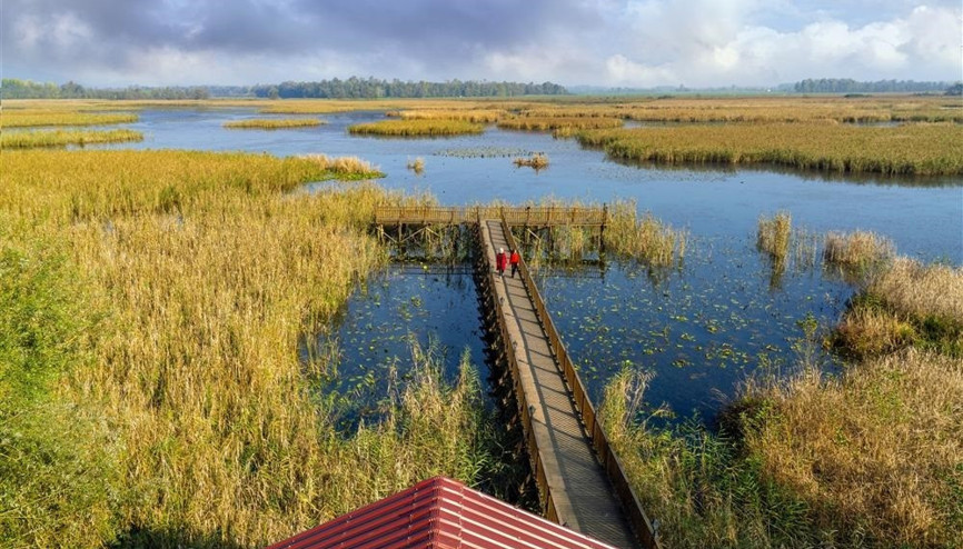 Düzcenin doğa harikası Efteni Gölü misafirlerini bekliyor