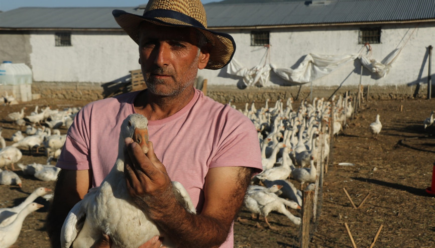 Bitliste kurdu Yurt dışından gelen taleplere yetişemiyor Bitliste kurdu Yurt dışından gelen taleplere yetişemiyor
