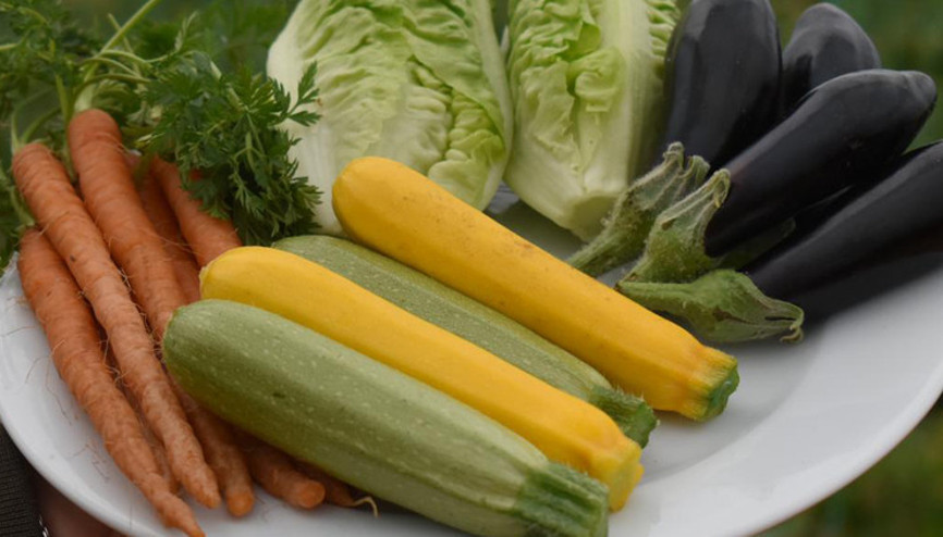 Bu sebzeler taptaze dalından koparılmış bir şekilde kapınızda…