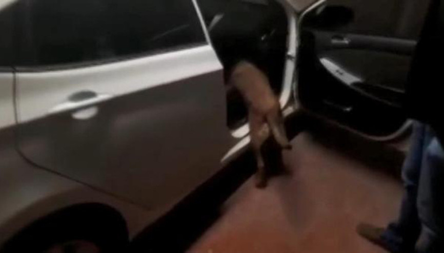 Bursada uyuşturucu operasyonu: 2 İran uyrukluya gözaltı