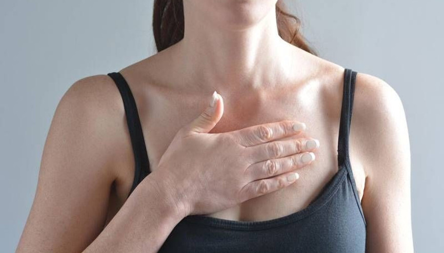 Kunduracı ya da Güvercin Göğüs Nedir Kunduracı ya da Güvercin Göğüs Nedir